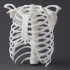 RS-F2-GPWH-04 - FormLabs Form 3 White Resin V4 (1L) - Front